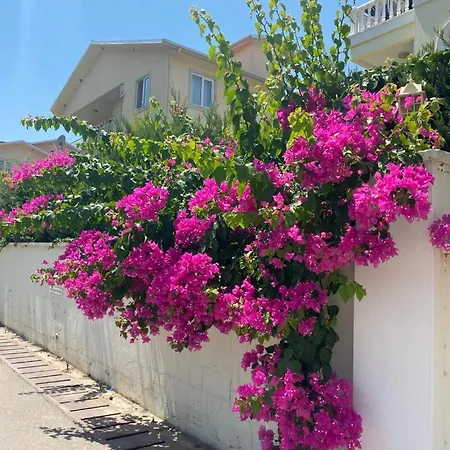 King Cleodora Appartement Belek